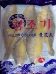 Yellow Croaker