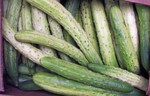 Cucumbers are a seasonal item by variety, check for availability