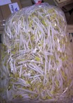 Mung Bean Sprouts   This type of sprout is available in 5lb bags. (This is the sprout most ordered by the local Thai/Chinese restaurants